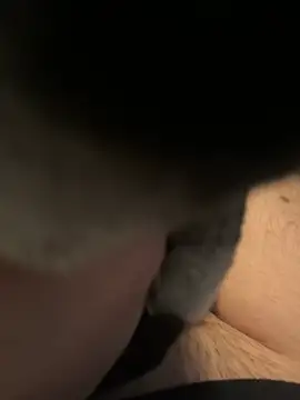 Snapshot of Furdale chatting on December 16, 2024, 1:11 pm Furdale online show from December 16, 2024, 1:11 pm