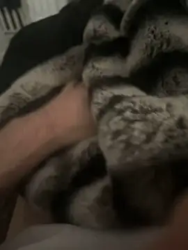 Snapshot of Furdale chatting on December 17, 2024, 12:43 pm Furdale online show from December 17, 2024, 12:43 pm