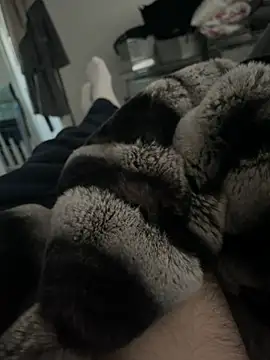 Snapshot of Furdale chatting on December 18, 2024, 3:00 pm Furdale online show from December 18, 2024, 3:00 pm