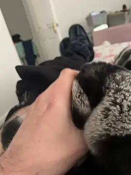 Snapshot of Furdale chatting on December 19, 2024, 1:07 pm Furdale online show from December 19, 2024, 1:07 pm