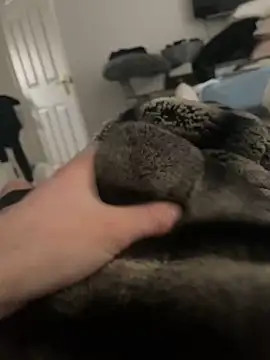 Snapshot of Furdale chatting on February 16, 2025, 10:21 am Furdale online show from February 16, 2025, 10:21 am