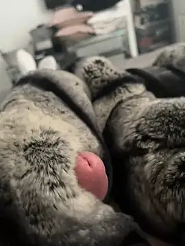 Snapshot of Furdale chatting on February 26, 2025, 12:58 pm Furdale online show from February 26, 2025, 12:58 pm