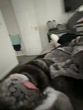 Snapshot of Furdale chatting on September 22, 2025, 4:20 pm Furdale online show from September 22, 2025, 4:20 pm