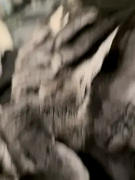 Furdale online show from October 31, 2025, 7:04 pm