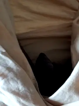 Snapshot of malluflash chatting on February 12, 2026, 7:58 am malluflash online show from February 12, 2026, 7:58 am