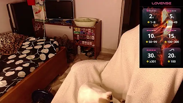 Snapshot of Apolo_S chatting on February 14, 2026, 8:33 am Apolo S online show from February 14, 2026, 8:33 am