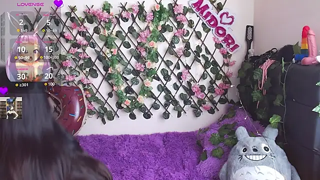 MidoriQuiinn online show from January 28, 2025, 5:03 pm