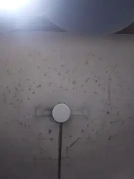 marie12345679 online show from February 26, 2026, 1:15 am