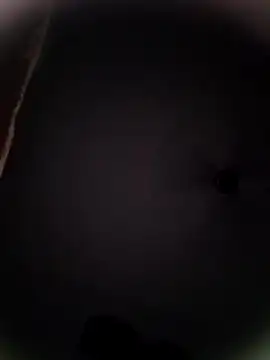 Pitercom online show from October 19, 2025, 9:04 pm