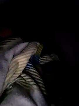 Pitercom online show from February 13, 2026, 4:03 pm