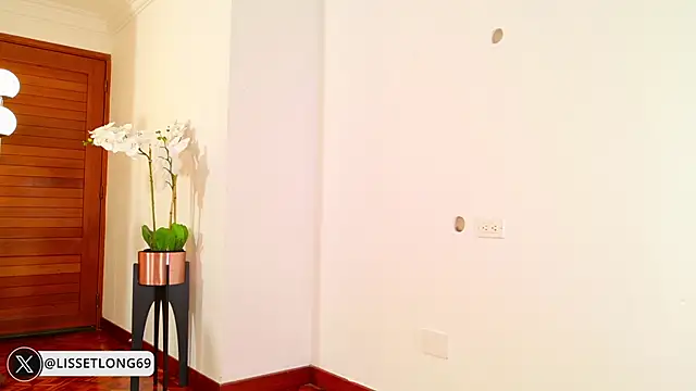 lissetlong69 online show from February 20, 2026, 11:49 pm