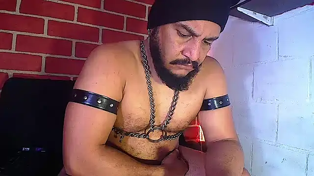 the master foal  online show from January 14, 2025, 5:01 pm