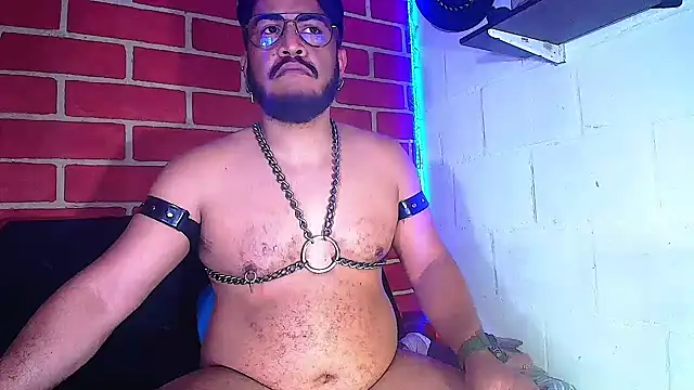 the master foal  online show from January 28, 2025, 11:38 am