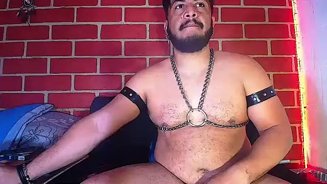 the master foal  online show from February 4, 2025, 10:00 am