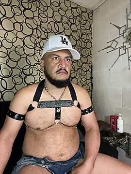 the master foal  online show from March 11, 2026, 7:20 pm