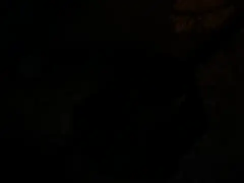 jck1m0t online show from December 19, 2024, 11:07 am