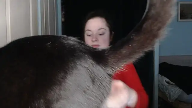 ryhhnnagold99 online show from February 8, 2026, 2:53 pm