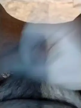 Rajxxxdx4u online show from December 2, 2024, 8:44 pm