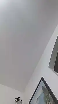 manuel9428 online show from January 21, 2025, 8:54 pm