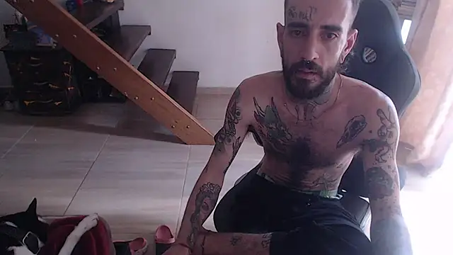 harry reems1 online show from January 17, 2025, 5:19 pm