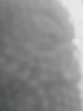 Snapshot of Sexilvenia chatting on May 15, 2026, 10:28 pm Sexilvenia online show from May 15, 2026, 10:28 pm