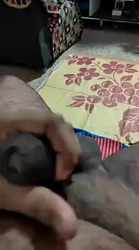 Swift2006 online show from February 11, 2025, 4:11 am