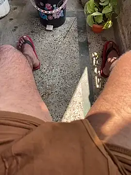 Bareilly Boy1 online show from February 23, 2025, 6:49 am