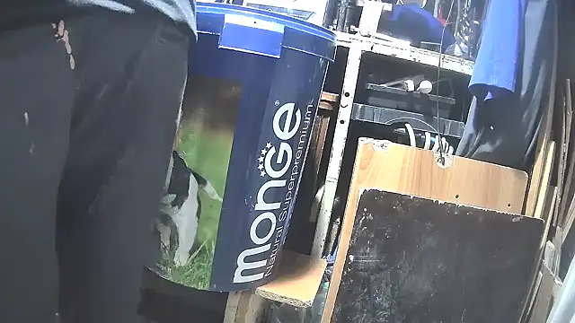 nonnomaturobisex online show from March 11, 2025, 3:12 pm