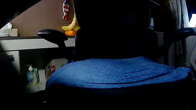 suedel65 online show from November 29, 2025, 3:53 am