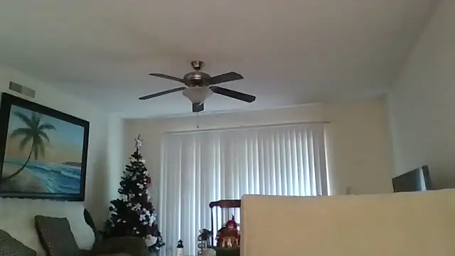 EvaRobinson online show from December 18, 2024, 5:31 pm