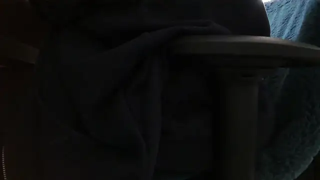 Snapshot of chubbysmallcock@xh chatting on March 31, 2026, 3:56 pm chubbysmallcockxh online show from March 31, 2026, 3:56 pm