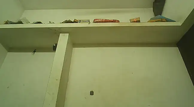 Snapshot of Akhilamolu_the_transsissy chatting on February 8, 2025, 5:39 pm Akhilamolu the transsissy online show from February 8, 2025, 5:39 pm