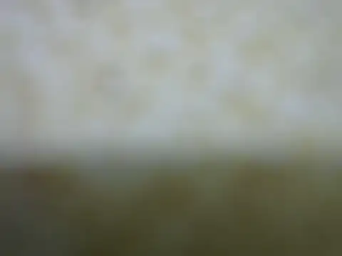 Snapshot of castistee chatting on October 26, 2025, 10:36 pm castistee online show from October 26, 2025, 10:36 pm