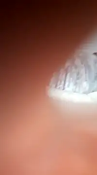 bms125 online show from March 2, 2025, 7:54 am