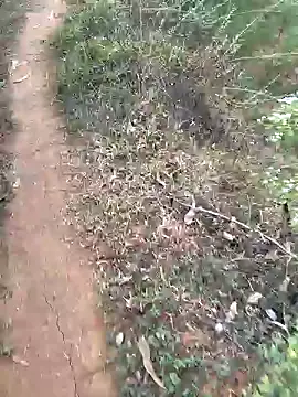 Gopal1243 online show from January 15, 2025, 2:27 am