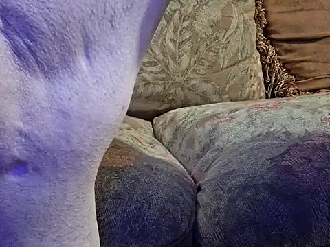 Snapshot of highstepper500 chatting on February 20, 2026, 10:49 am highstepper500 online show from February 20, 2026, 10:49 am