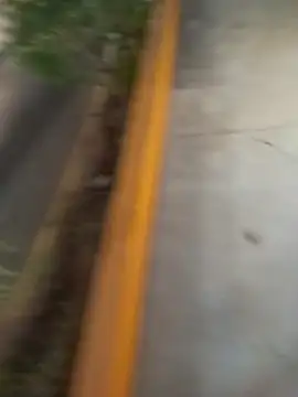 sagrado 1989 online show from February 8, 2026, 1:31 am