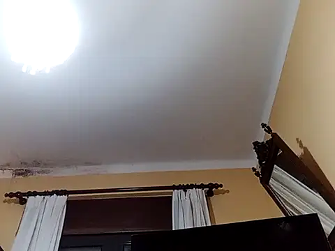 White rabbit  online show from February 27, 2025, 9:14 pm