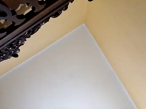 White rabbit  online show from October 29, 2025, 10:00 pm