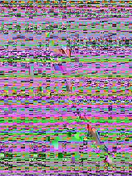 sahorix1 online show from February 20, 2026, 3:56 pm