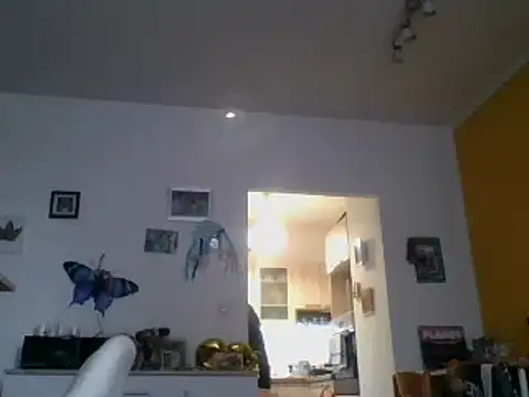 82liska online show from November 9, 2025, 11:19 am