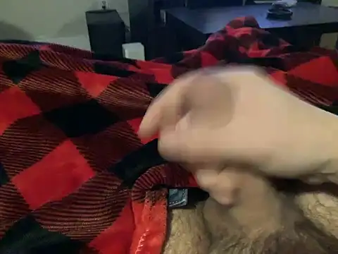 northcock87 online show from December 11, 2024, 2:09 am