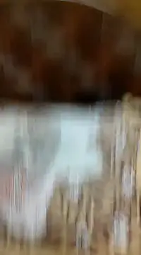 Ansh731989 online show from January 29, 2025, 5:45 pm