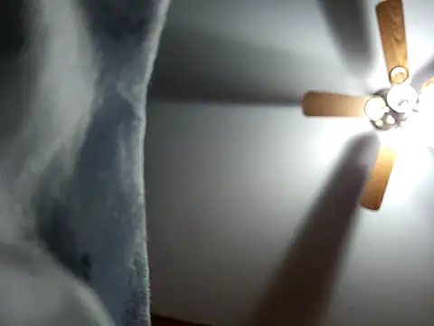 Snapshot of Ambush_Sword67 chatting on December 2, 2024, 5:26 pm Ambush Sword67 online show from December 2, 2024, 5:26 pm