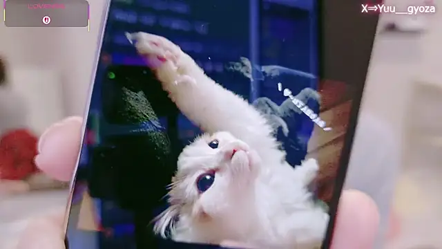 Yuu  k online show from March 7, 2026, 2:36 pm