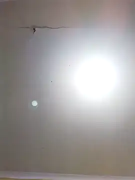 Snapshot of DangerousSafari chatting on November 3, 2025, 2:29 pm DangerousSafari online show from November 3, 2025, 2:29 pm