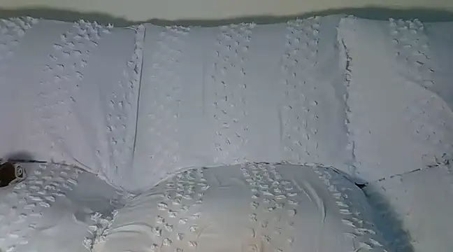 Snapshot of wetmypants chatting on March 8, 2025, 6:10 am wetmypants online show from March 8, 2025, 6:10 am