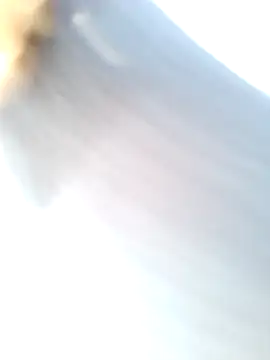 Snapshot of mustican422 chatting on February 25, 2025, 10:04 am mustican422 online show from February 25, 2025, 10:04 am