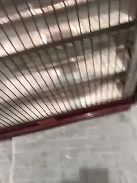 Snapshot of mustican422 chatting on October 25, 2025, 11:07 am mustican422 online show from October 25, 2025, 11:07 am