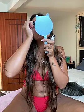 Snapshot of fenixgre chatting on February 25, 2025, 6:20 pm fenixgre online show from February 25, 2025, 6:20 pm